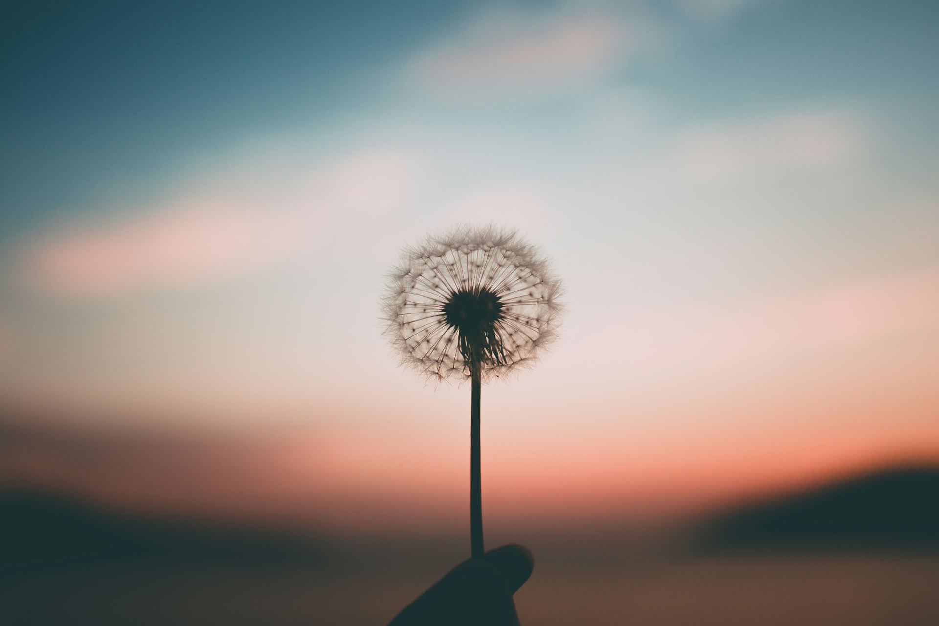 Social PX